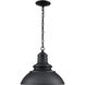 Adda LED 13.03 inch Powder Coated Black Outdoor Hanging Lantern